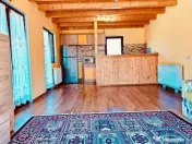 CASA DE VACANTA//ZONA BREAZA//OCINA DE JOS 