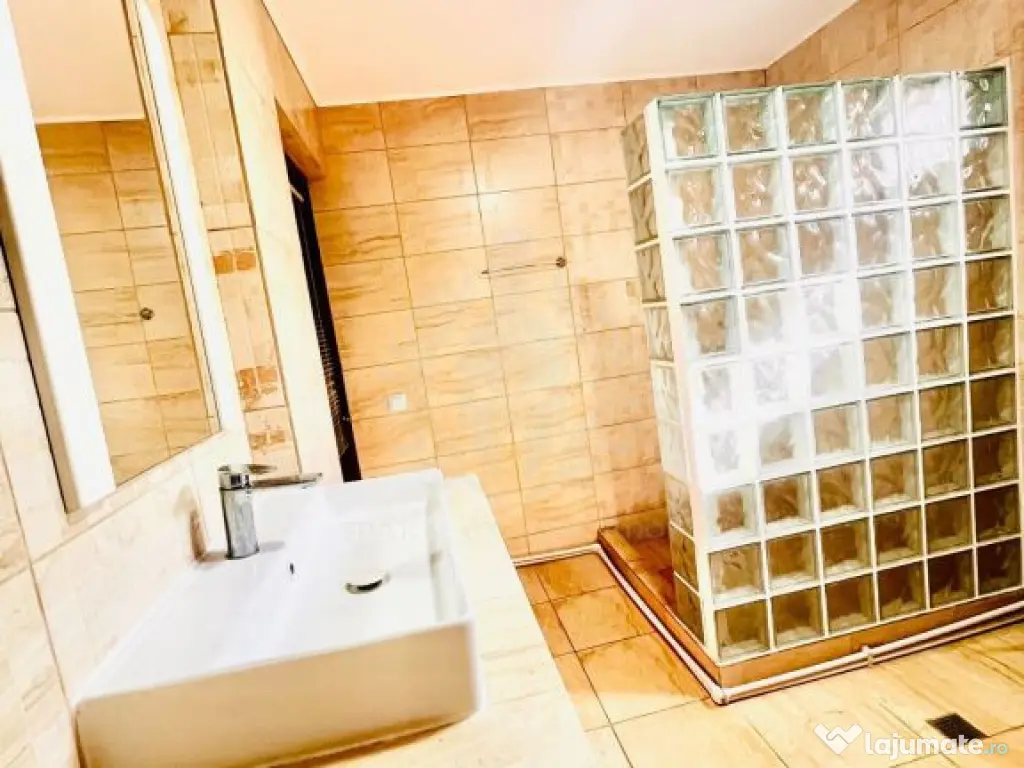 CASA DE VACANTA//ZONA BREAZA//OCINA DE JOS