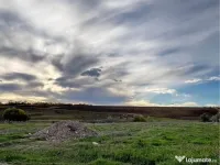 Teren Comuna Letcani