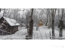 Telega sat Bustenari teren și casă de vânzare