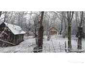 Telega sat Bustenari teren și casă de vânzare 