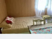 Telega sat Bustenari teren și casă de vânzare 