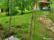 Telega sat Bustenari teren și casă de vânzare 