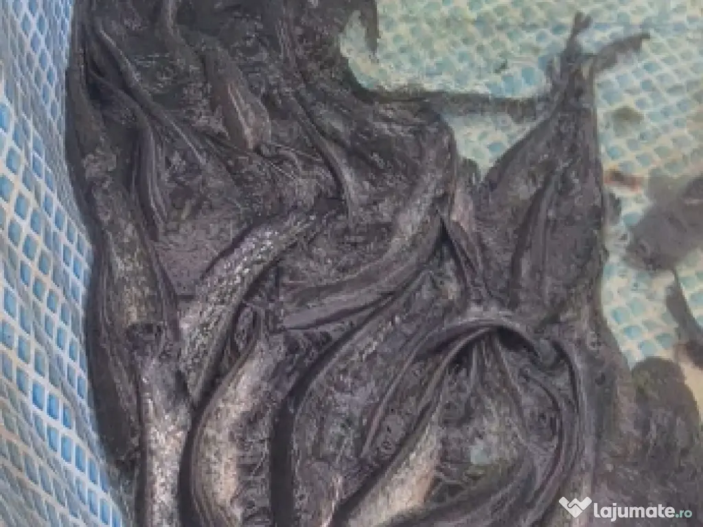 Vand somn pt. populare mic si mare