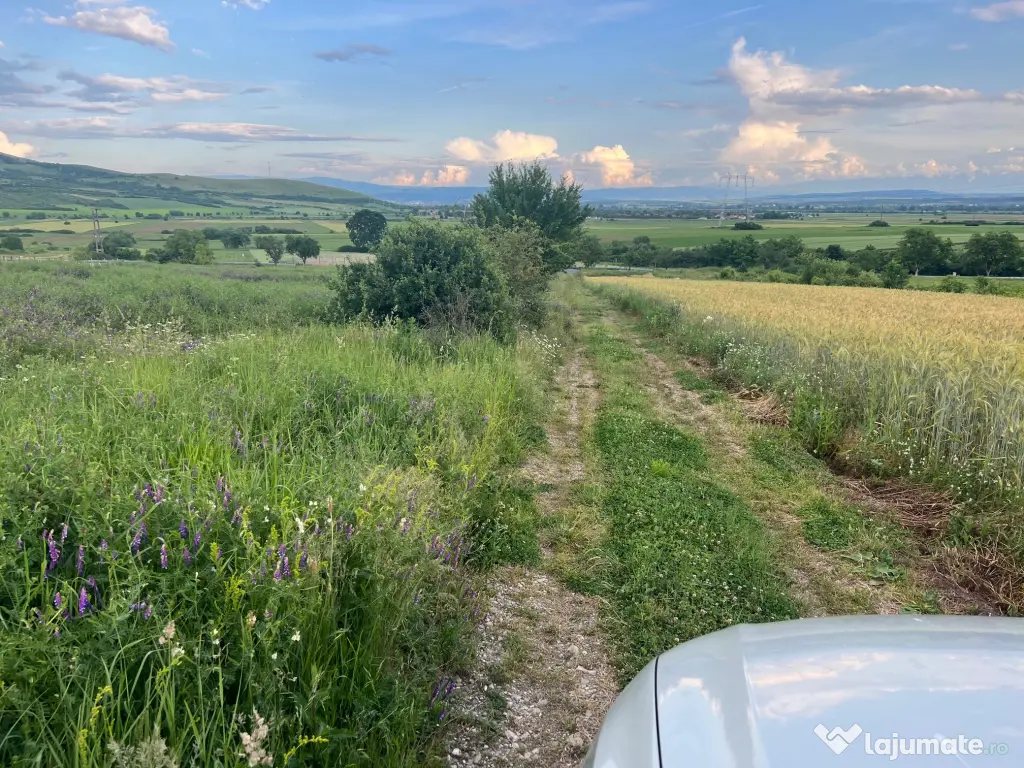 De vânzare teren construibil parcelabil Bălata, la doar 9 km de Deva