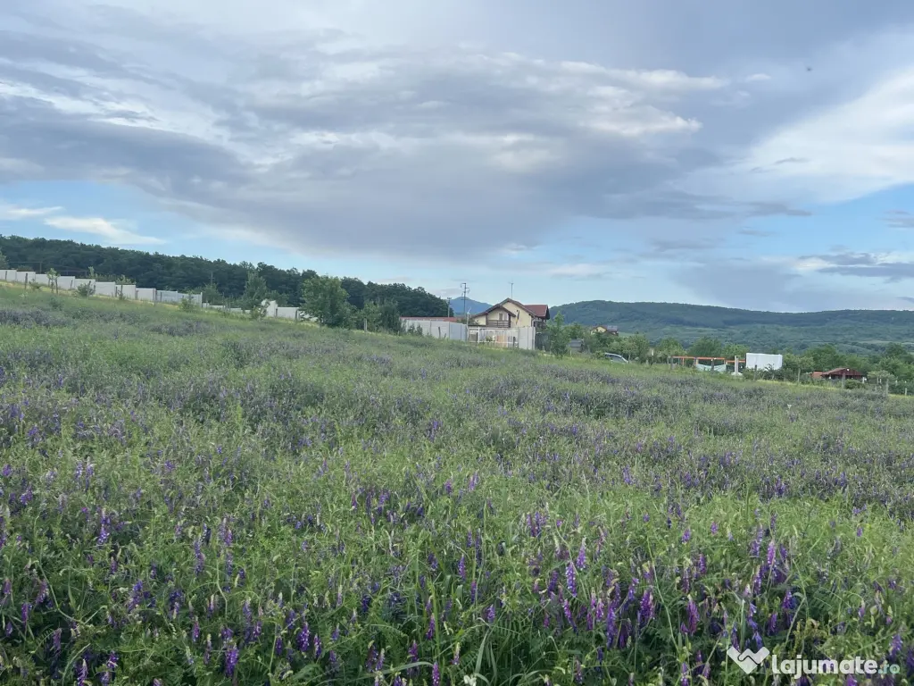 De vânzare teren construibil parcelabil Bălata, la doar 9 km de Deva