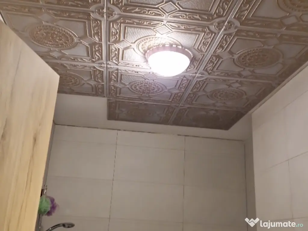 Firma construcții & instalatii Sanitare Brașov/Renovări Apartamente