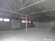 Hala Industrială de Vânzare sau Închiriere – Măgure... 