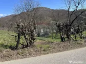 Teren 1,106mp Baia Mare / Strada Firiza 