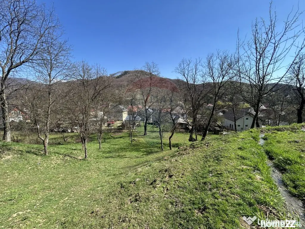 Teren 1,106mp Baia Mare / Strada Firiza