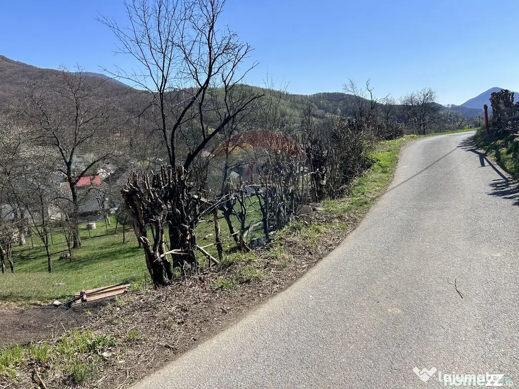 Teren 1,106mp Baia Mare / Strada Firiza