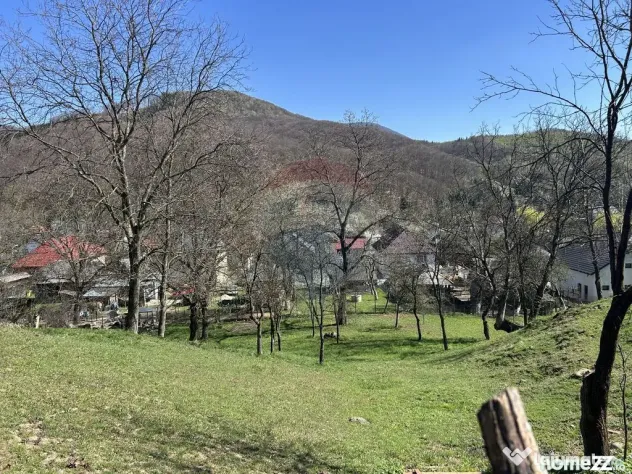 Teren 1,106mp Baia Mare / Strada Firiza