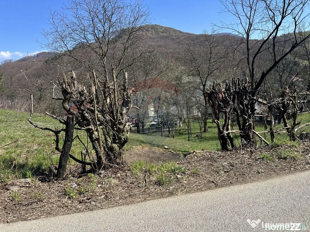 Teren 1,106mp Baia Mare / Strada Firiza