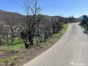 Teren 1,106mp Baia Mare / Strada Firiza 