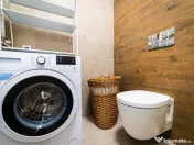 Berceni dealul cucului postalionului 