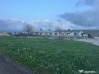 Teren intravilan industrial 