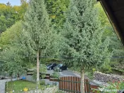 Inchiriez cabana la munte, Rasnov, Brasov 