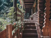 Inchiriez cabana la munte, Rasnov, Brasov 