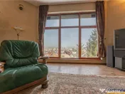 FILM! Castelariu: spectacol panoramic, locatie prestigioasa, 