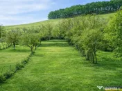 Cocheta casa renovata vila spatioasa, domeniu de 1.500mp,San 