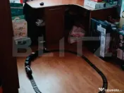 Apartament tip X, 3 camere, zona - Bumbacului 