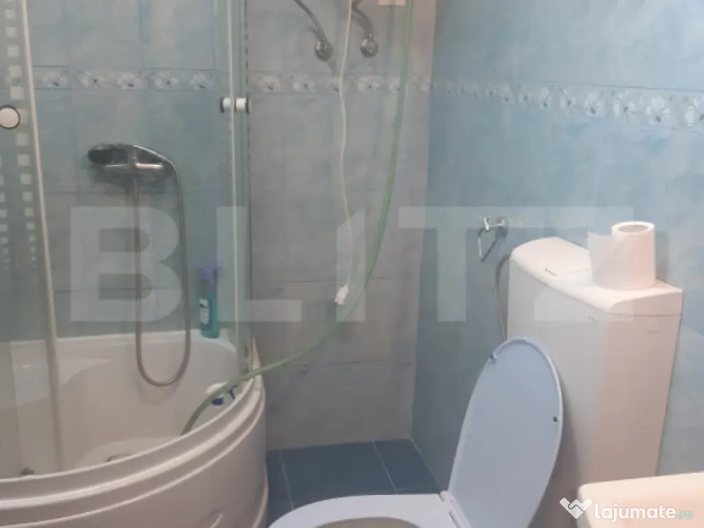 Casa de vanzare, Poiana Blenchii