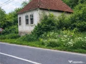 Domeniu verde autentic, 5.000mp, front la DJ, Valcele, Bra 