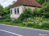 Domeniu verde autentic, 5.000mp, front la DJ, Valcele, Bra 