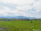 Teren intravilan 13.300 mp – Brașov | 0% COMISION 