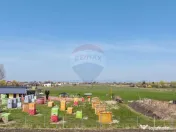 Teren intravilan 13.300 mp – Brașov | 0% COMISION 