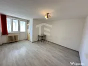 Pantelimon -Delfinului , Garsoniera 31 mp