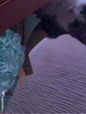 Buchet trandafiri satin 