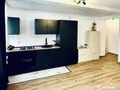 Apartament 2 camere mansardat pe 2 niveluri, F#259;getului C 