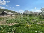 ???? Casă cu teren generos de 2.300 mp în Cășeiu 