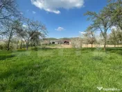 ???? Casă cu teren generos de 2.300 mp în Cășeiu 