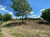 Teren Intravilan 1000mp RADOVAN 