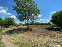 Teren Intravilan 1000mp RADOVAN