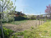 Casa+ teren 1000 mp Merisani, jud. Arges 