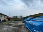 De vânzare grajd fostă fermă în Stelnica (IL) 