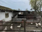 De vânzare grajd fostă fermă în Stelnica (IL) 