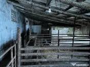 De vânzare grajd fostă fermă în Stelnica (IL) 