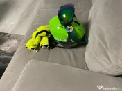 Vand echipament Ski Fischer RC4 