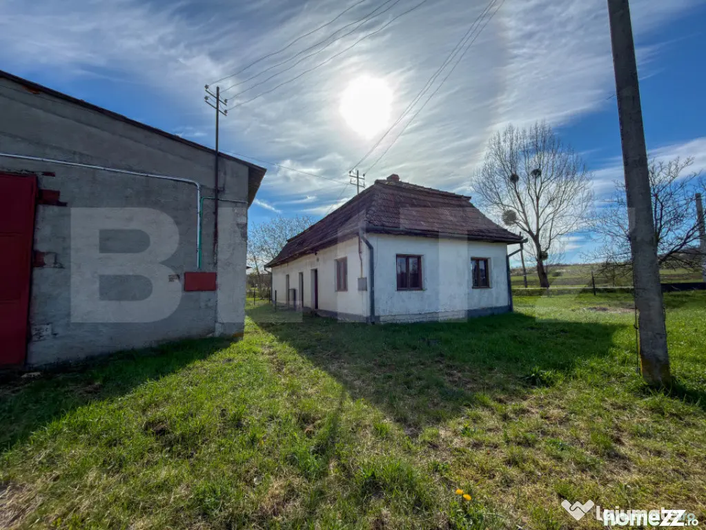 Complex Industrial (2 Hale + Birouri) pe 7.000 mp teren, Ghe - Alesd (Bihor)