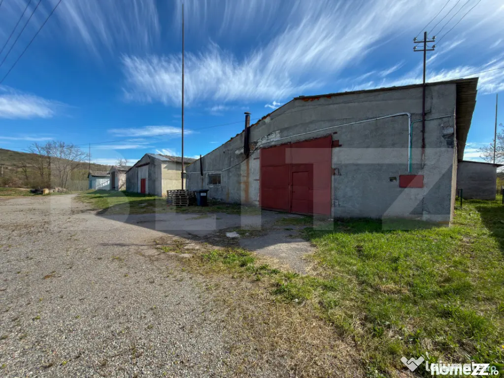 Complex Industrial (2 Hale + Birouri) pe 7.000 mp teren, Ghe - Alesd (Bihor)