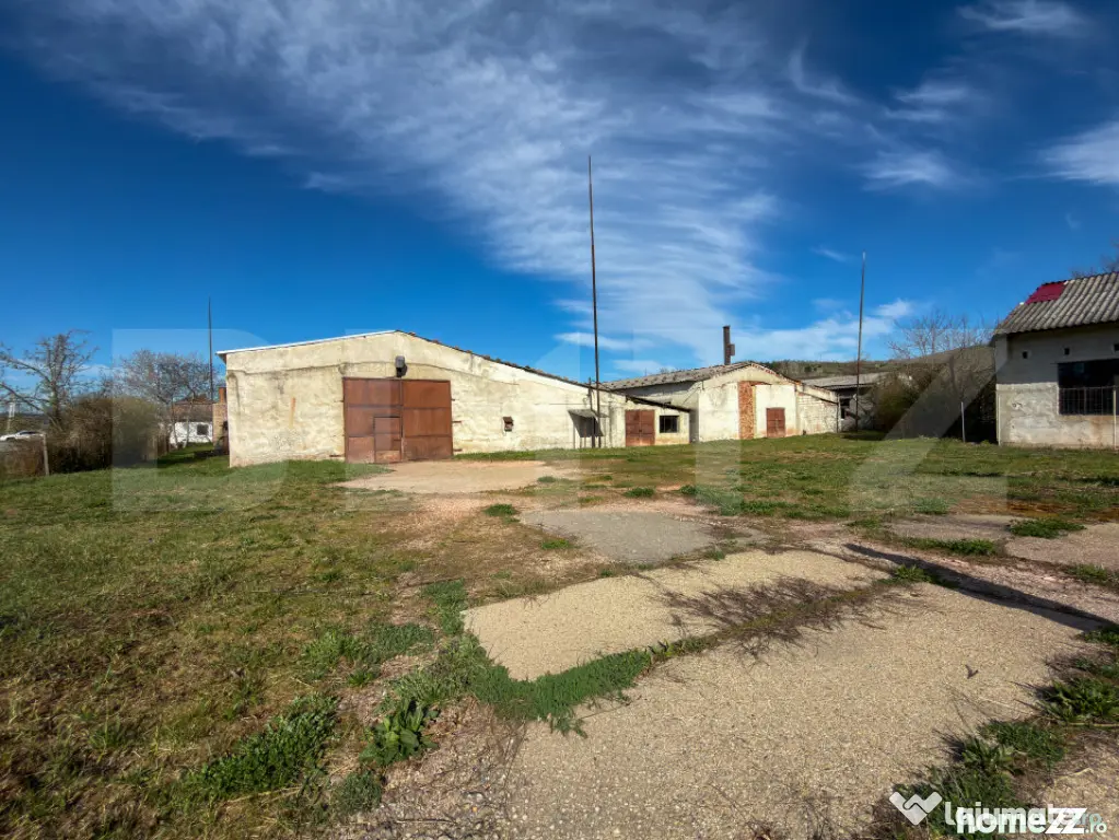 Complex Industrial (2 Hale + Birouri) pe 7.000 mp teren, Ghe - Alesd (Bihor)