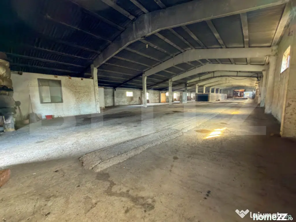 Complex Industrial (2 Hale + Birouri) pe 7.000 mp teren, Ghe - Alesd (Bihor)