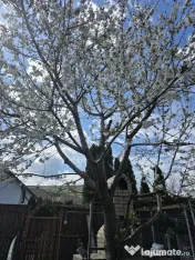 Teren insorit in zona Ocol, pe o strada linistita 