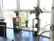 Apartament 2 camere la cheie, etaj intermediar, Grigorescu 