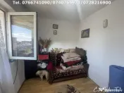 De Vanzare 2 Garsoniere Confort 2, Etaj 4, Strada Lotrului 