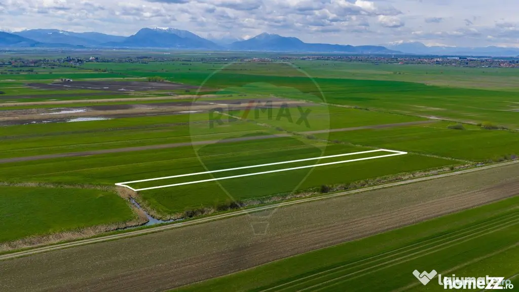 Teren EXTRAVILAN | 4,000mp Stupinii Prejmerului | COMISIO... - Stupinii Prejmerului (Brasov)